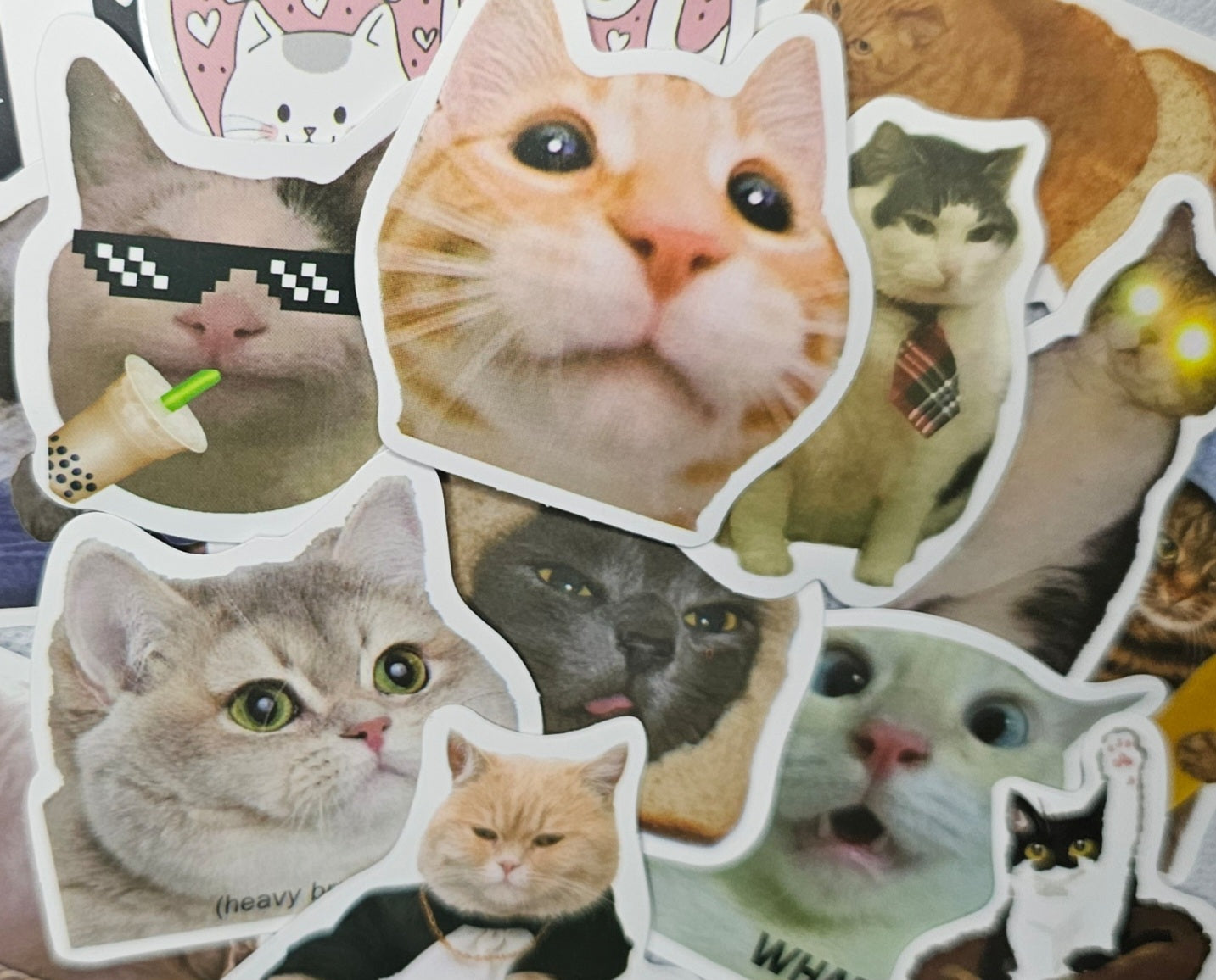 Cat Stickers