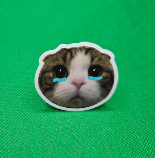 Crying Cat Sticker