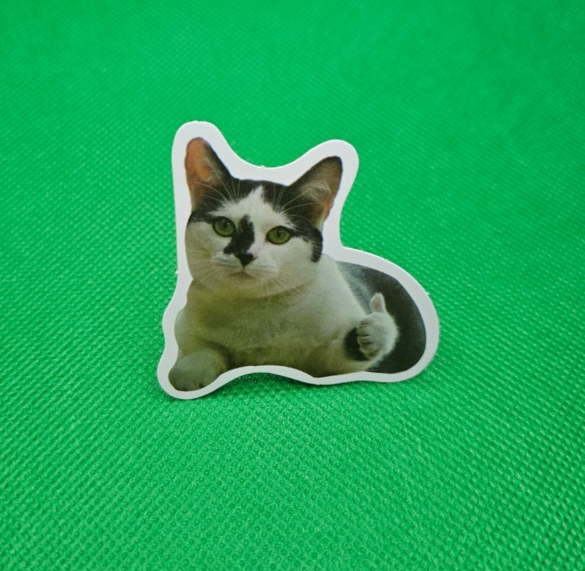 Motivational Cat Sticker