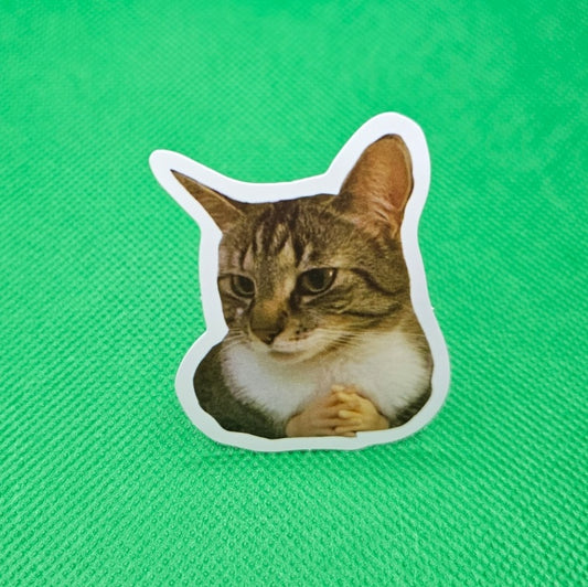 Cat Sticker