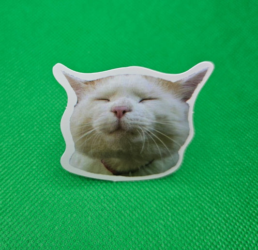 Sleepy Cat Sticker