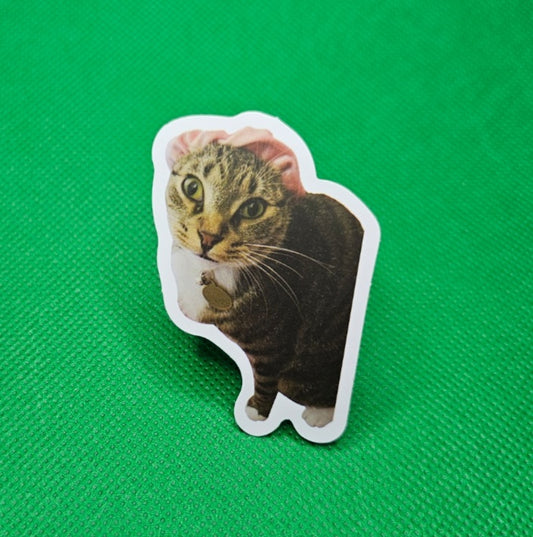 Cat Sticker