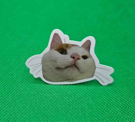 Cat Sticker