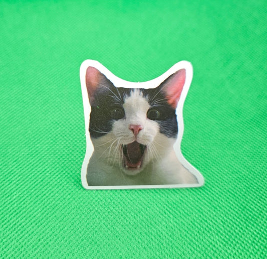 Cat Sticker