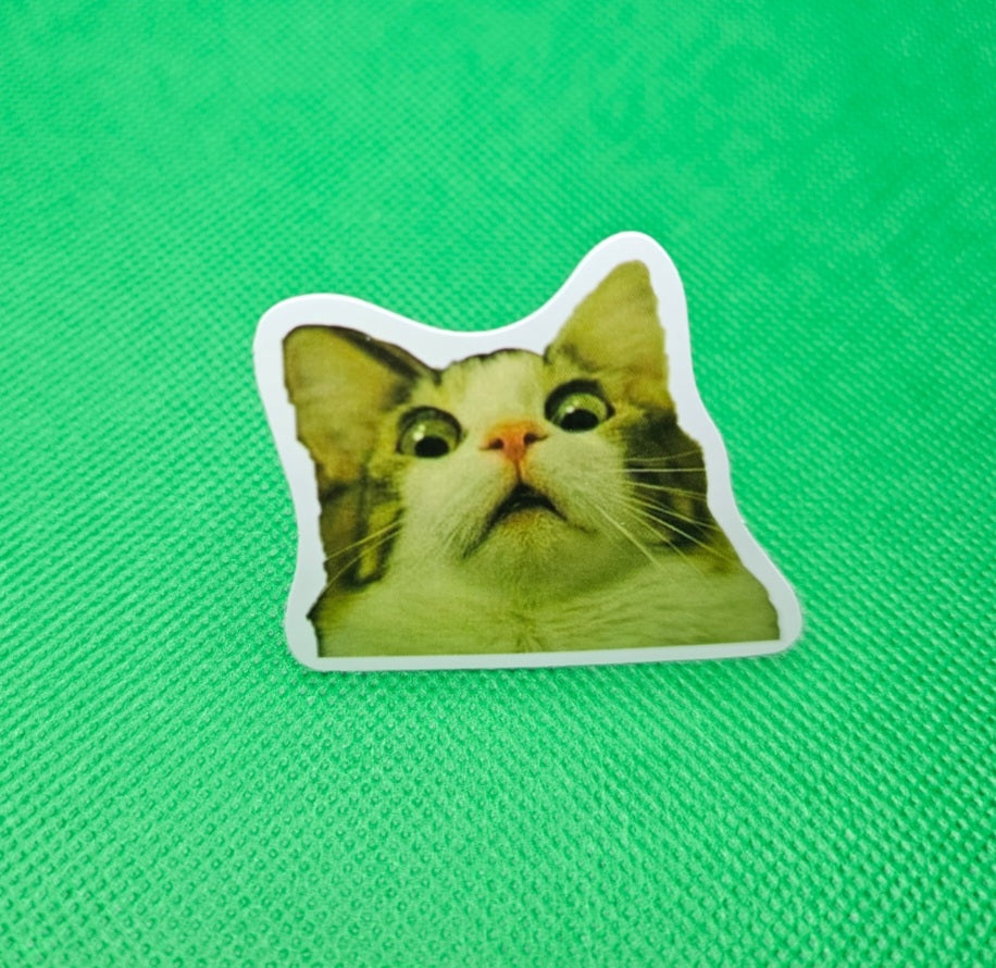 Scared Cat Sticker