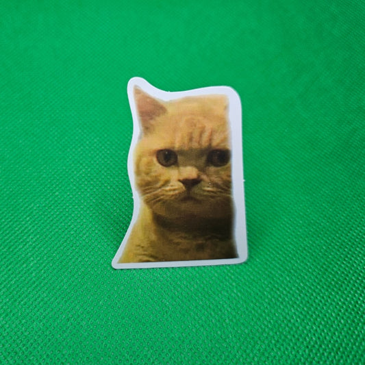 Cat Sticker