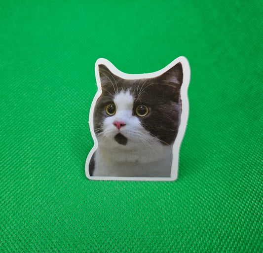 Cat Sticker