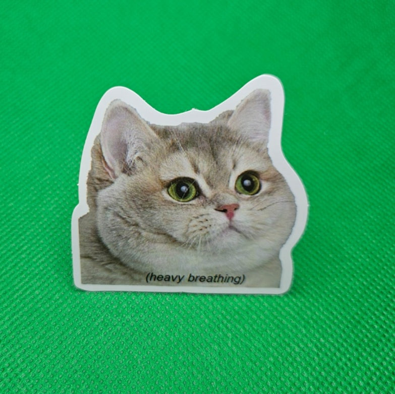 Cat Sticker