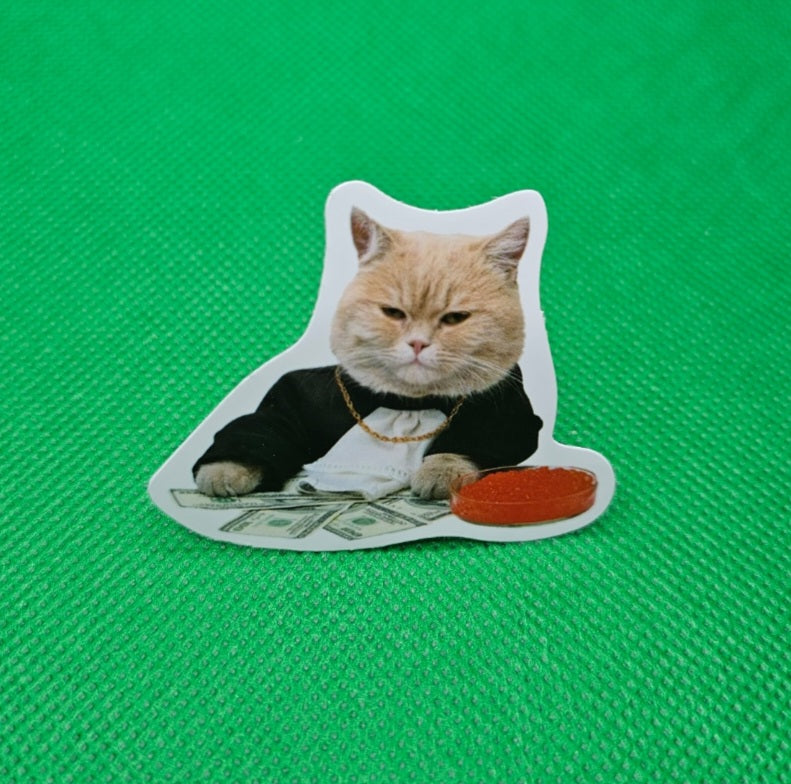 Orange Cat Sticker