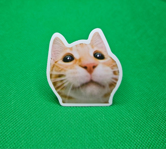 Orange Cat Sticker