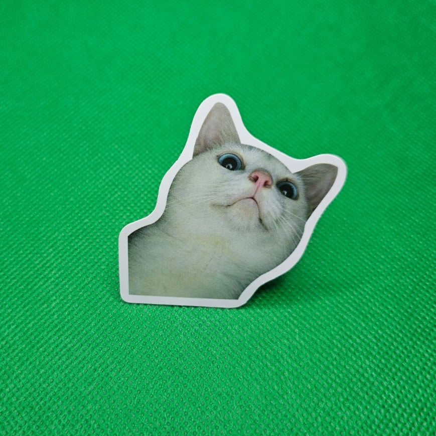 Cat Sticker