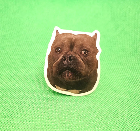 Pitbull Dog Sticker