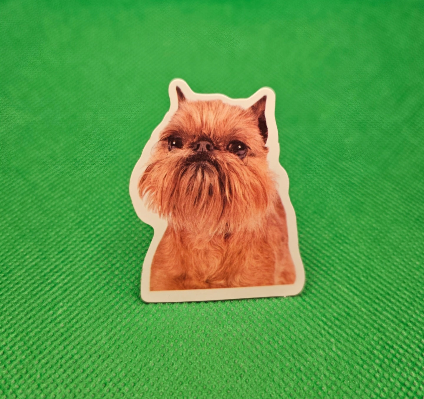 Brussels Griffon Dog Sticker