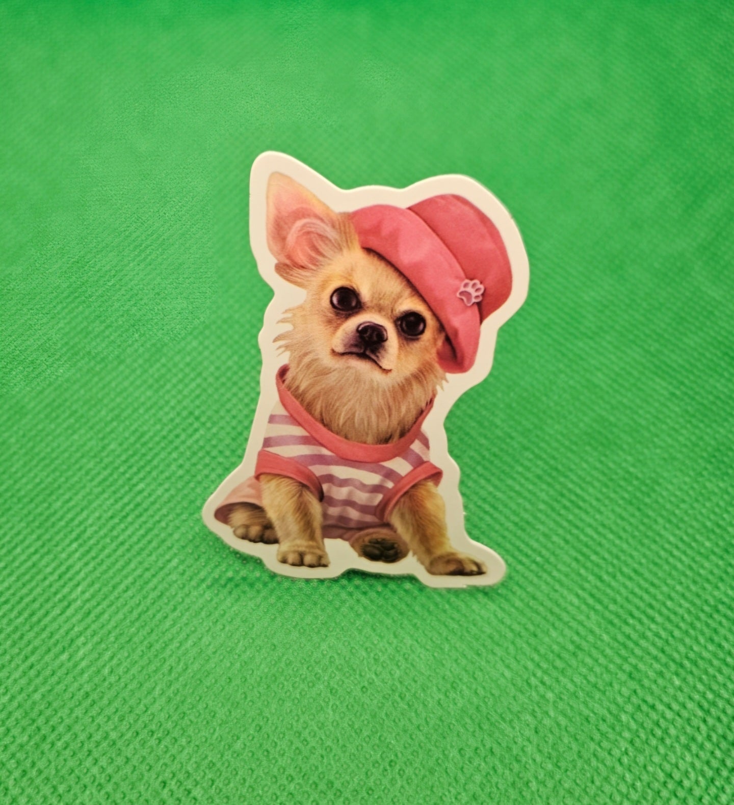 Chihuahua Dog Sticker