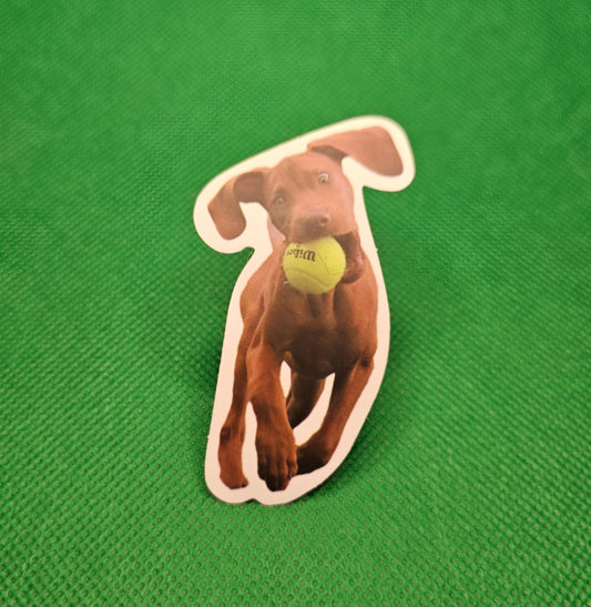 Dog Sticker