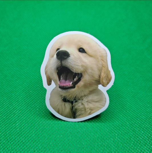 Labrador Dog Sticker