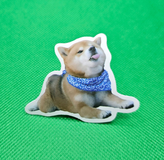 Shiba Inu Dog Sticker