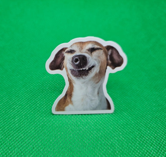 Laughing Dog Sticker