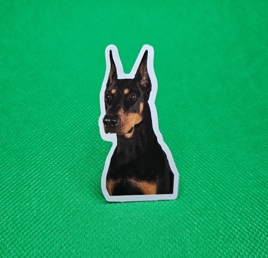 Doberman Dog Sticker