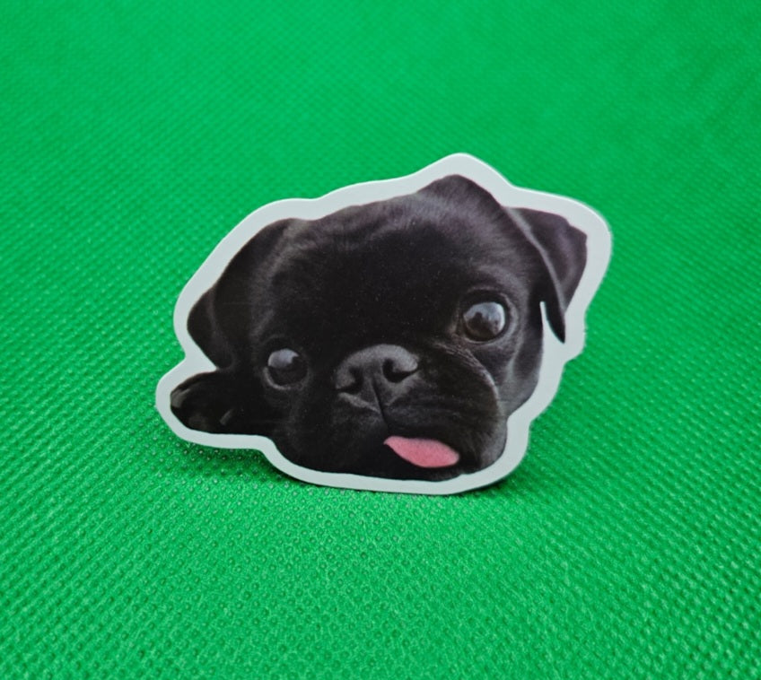 Pug Dog Sticker