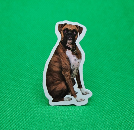 Boxer Dog Sticker