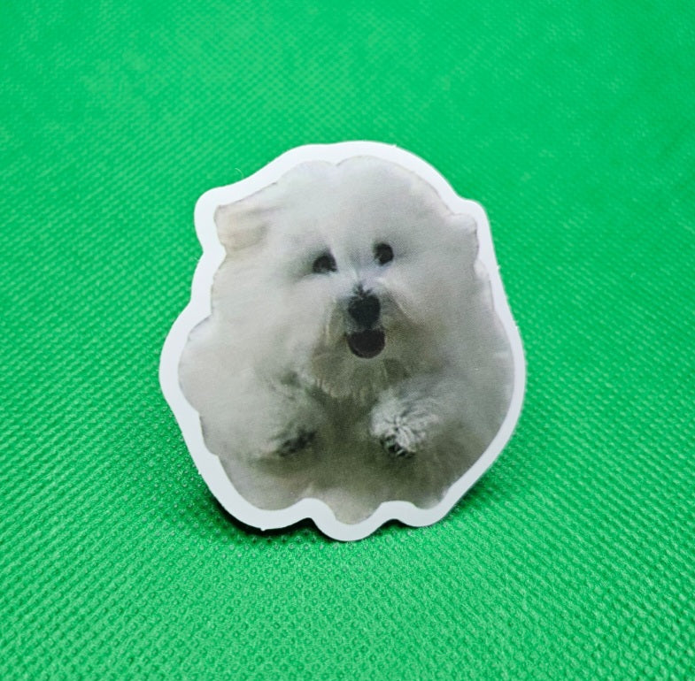 Dog Sticker