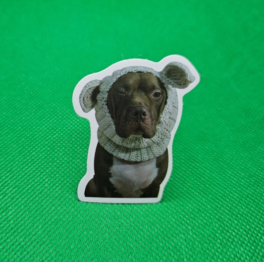 Pitbull Dog Sticker