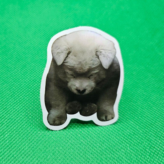 Dog Sticker