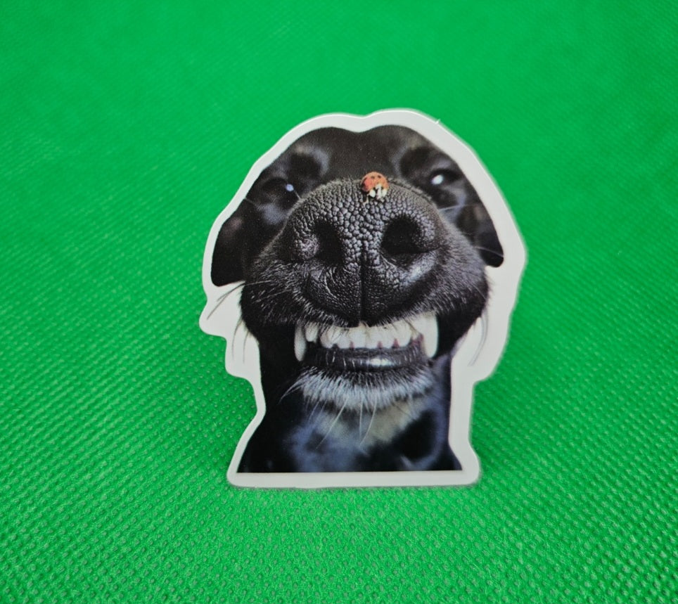 Dog Sticker