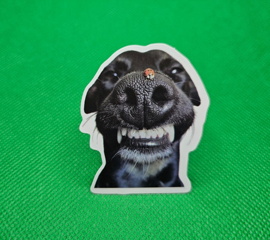 Dog Sticker