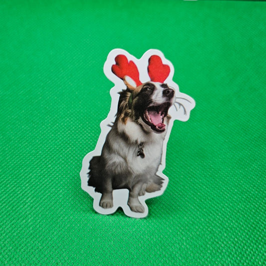 Dog Sticker