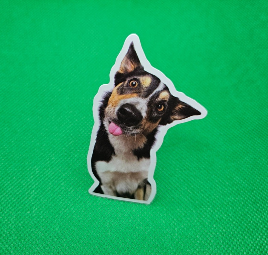 Shepherd Dog Sticker