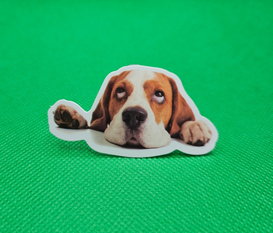 Beagle Dog Sticker