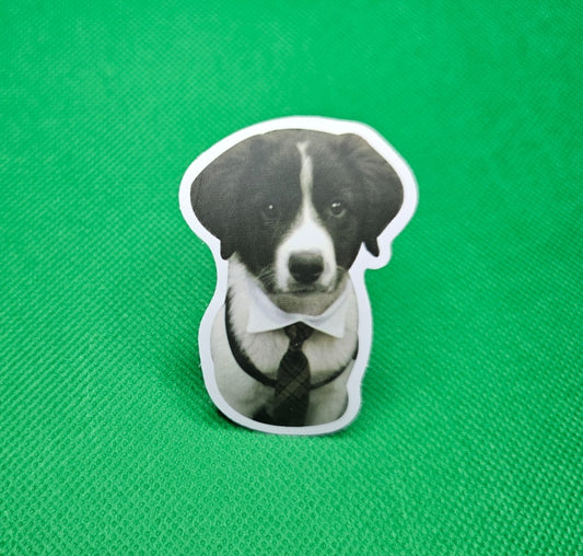 Border Collie Dog Sticker