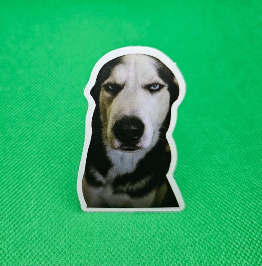 Husky Dog Sticker