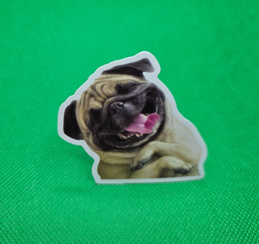 Pug Dog Sticker