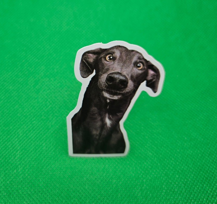 Dog Sticker