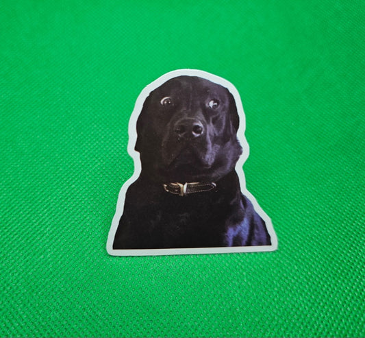 Labrador Dog Sticker