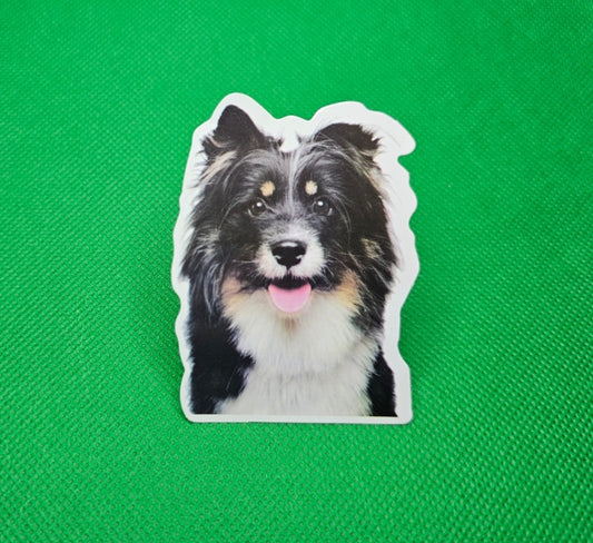 Dog Sticker