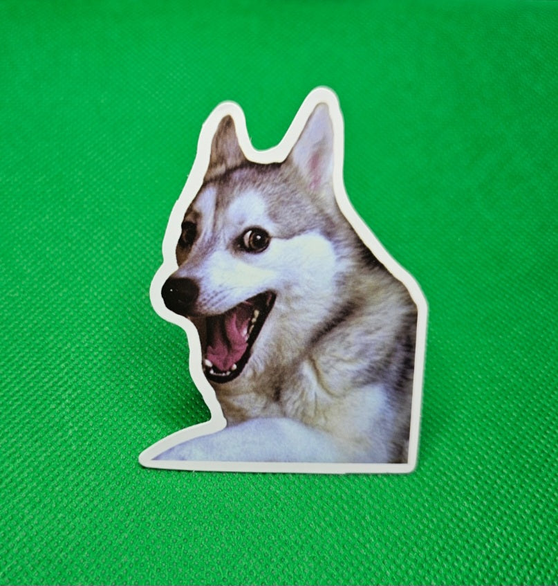 Husky Dog Sticker